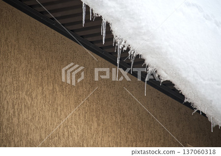 Icicles Hanging From Snow-Covered Roof Edge Above Beige Textured Wall in Winter Scene 137060318