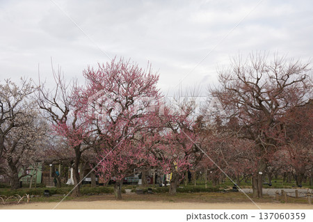 Kairakuen Kairakuen 137060359