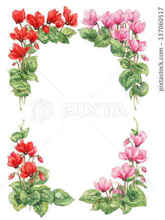 仙客來花框插圖 137060517