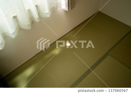 Sunlight filtering through the gap in the curtains onto the tatami mat 137060567