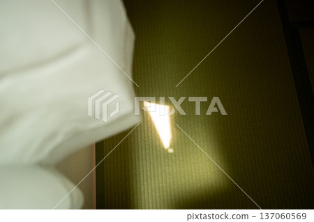 陽光透過窗簾的縫隙灑在榻榻米上。 137060569