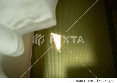 陽光透過窗簾的縫隙灑在榻榻米上。 137060570