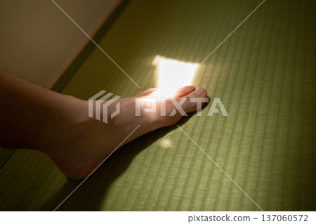一個腳趾上長毛的男人 137060572