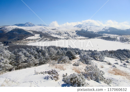 Yashimagahara Marsh, Mount Tateshina, and Mount Kirigamine in winter as seen from the middle of Mount Washigamine, Shimosuwa Town, Nagano Prefecture 137060632