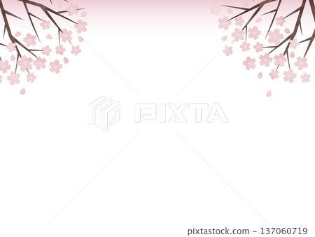 櫻花漸層背景設計，適用於儀式和入場儀式 137060719