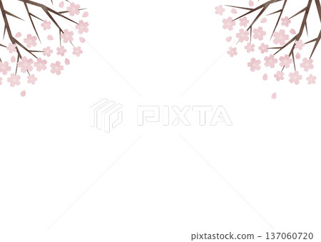 櫻花背景素材，適用於企業春季宣傳活動，提供橫向佈置。 137060720