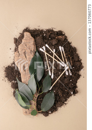 Used cotton swabs placed in soil, tree bark, and green leaves beige background, top view. Concept of plastic pollution, compostable materials, zero-waste lifestyle, and environmental responsibility Used cotton swabs placed in soil, tree bark, and green leaves beige background, top view. Concept of plastic pollution, compostable materials, zero-waste lifestyle, and environmental responsibility 137060773