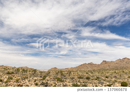 Fantastic landscapes of Joshua Tree Park 137060878