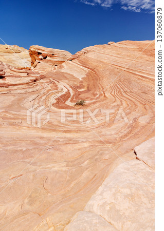 Sunny landscape in Valley of Fire Park Sunny landscape in Valley of Fire Park 137060879