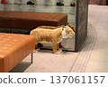 Sofa and Tiger 137061157
