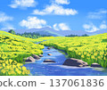 A view of a rape field 137061836