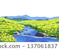 A view of a rape field 137061837