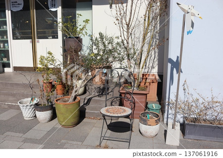 store decoration store decoration 137061916