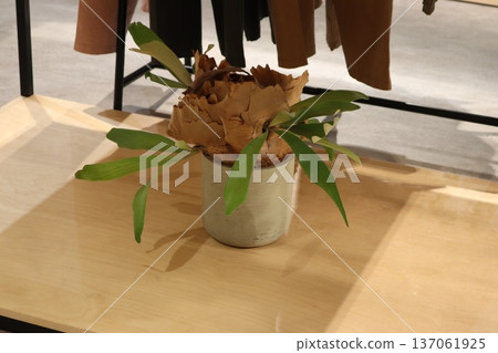 Flower pots under the shelf Flower pots under the shelf 137061925