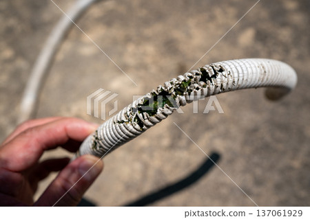 Algae growing in the air conditioner drain hose 137061929