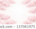 Cherry blossom scene, full spring frame, watercolor style, white background 137061975