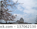 姬路城，這座國寶級城堡，春日里櫻花盛開，景色迷人。 137062130