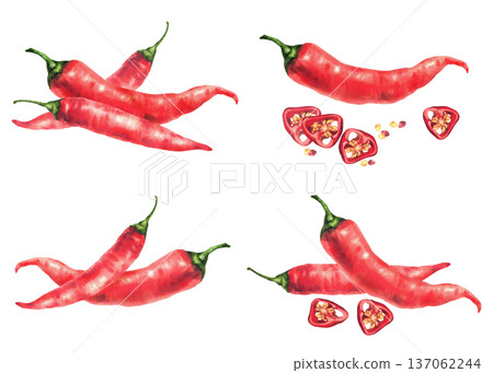 Watercolor red hot chili pepper, whole and cut pods round sliced with seeds. Spicy vegetable food spices set. Hand drawn illustration on isolated white background for sauces label, menu, recipes. Watercolor red hot chili pepper, whole and cut pods round sliced with seeds. Spicy vegetable food spices set. Hand drawn illustration on isolated white background for sauces label, menu, recipes. 137062244