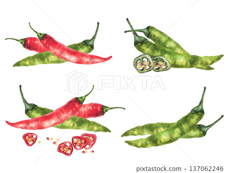 Watercolor hot chilli pepper set. Green and red whole vegetables pods. Hand drawn illustrations fresh organic cayenne peppers spice for food. Illustration for menu, label on Isolated white background 137062246