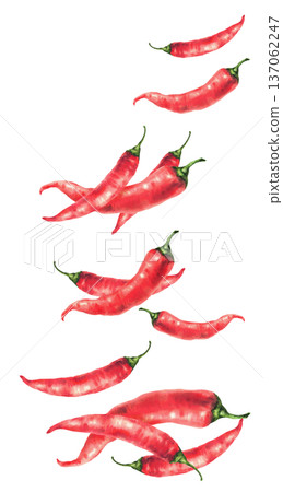 Hot chili peppers red pods flying in motion. Hand painted watercolor illustration isolated on white background. Dynamic spicy food clipart for packaging, spice labels, menu, cookbook of Asian recipes. 137062247