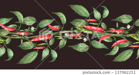 Hot Chili pepper plant seamless border. Watercolor painted red, green pepper pods, flowers and leaves. Hot spicy vegetables Illustration, pattern for food, gardeningblabel on Isolated dark background 137062251