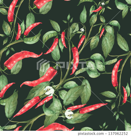 Watercolor chili pepper seamless pattern. Plant with flowers red end green pepper pods and leaves Hand drawn botanical illustration. Hot spicy garden vegetables. Wallpaper on isolated dark background 137062252