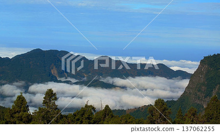 Mountain Sea of Clouds in Alishan Taiwan Mountain Sea of Clouds in Alishan Taiwan 137062255
