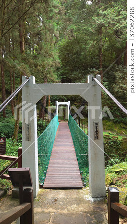 Suspension Bridge Entrance in Alishan National Forest Taiwan 137062288