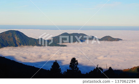 Sunrise Over Sea of Clouds in Alishan National Forest Taiwan Sunrise Over Sea of Clouds in Alishan National Forest Taiwan 137062294