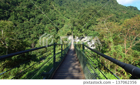 Long Suspension Bridge Through Butterfly Valley Forest in Hualien Taiwan 137062356
