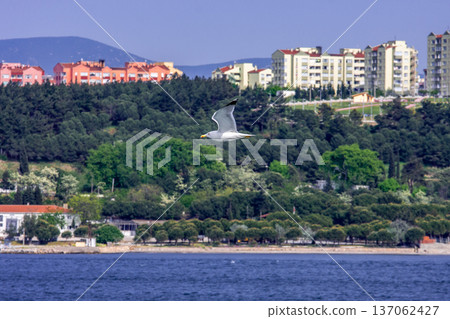 Straits of Dardanelles 137062427