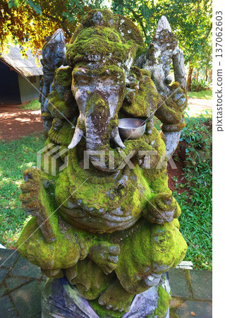 Moss Covered Ganesha Statue in Garden at Chiang Rai Thailand Moss Covered Ganesha Statue in Garden at Chiang Rai Thailand 137062603