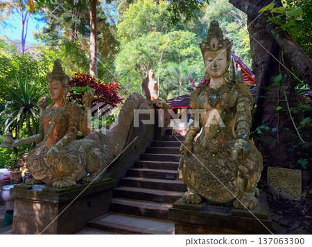 Twin Temple Guardian Statues in Doi Suthep Forest Chiang mai, Thailand Twin Temple Guardian Statues in Doi Suthep Forest Chiang mai, Thailand 137063300