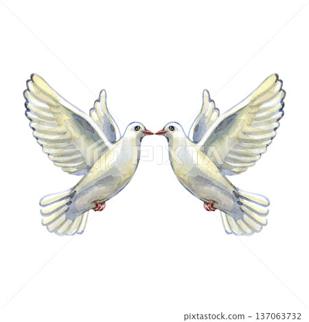 Elegant watercolor illustration of two white doves flying toward each other. This symbolic bird composition represents peace, love, and purity, making it perfect for wedding designs and spiritual 137063732