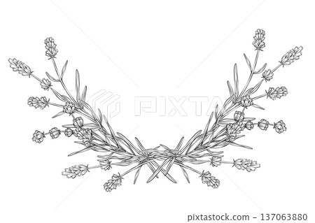 Symmetrical lavender vector floral border in clean line art style with hand drawn botanical branches and flowers. Ideal for wedding invitations, cosmetic packaging, spa branding and elegant stationery Symmetrical lavender vector floral border in clean line art style with hand drawn botanical branches and flowers. Ideal for wedding invitations, cosmetic packaging, spa branding and elegant stationery 137063880