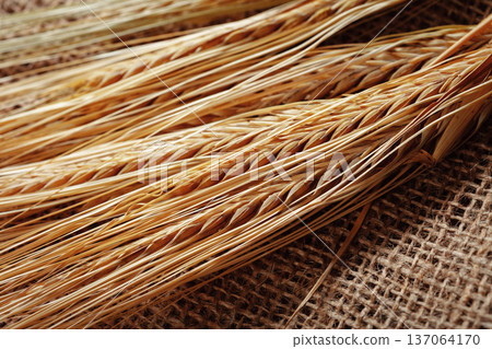 Wheat stalks arranged on a brown cloth background in a simple display 137064170