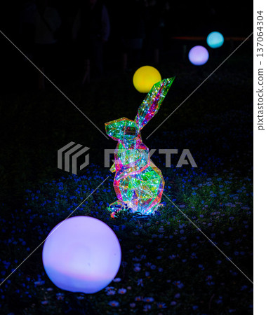 兔子發光 137064304