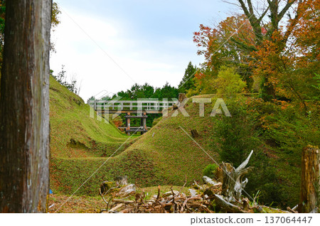 三島市山中城、本丸西護城河、本丸西大橋 三島市山中城、本丸西護城河、本丸西大橋 137064447