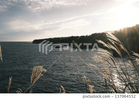 城崎海岸的夜晚 城崎海岸的夜晚 137064552