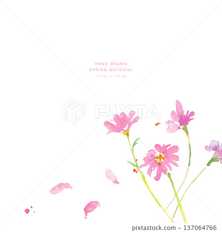 Watercolor painting. Spring pink and yellow flowers illustration with watercolor touch. Watercolor vector botanical frame. Watercolor painting. Spring pink and yellow flowers illustration with watercolor touch. Watercolor vector botanical frame. 137064766