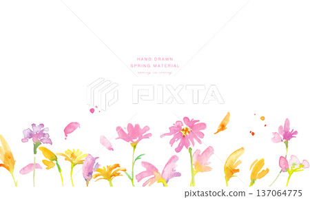 Watercolor painting. Spring pink and yellow flowers illustration with watercolor touch. Watercolor vector botanical frame. Watercolor painting. Spring pink and yellow flowers illustration with watercolor touch. Watercolor vector botanical frame. 137064775