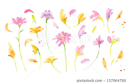 Watercolor painting. Spring pink and yellow flowers illustration with watercolor touch. Watercolor vector botanical frame. 137064780
