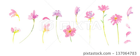 水彩畫。春日粉紅和黃色花朵插畫，帶有水彩暈染效果。水彩矢量植物邊框。 137064783