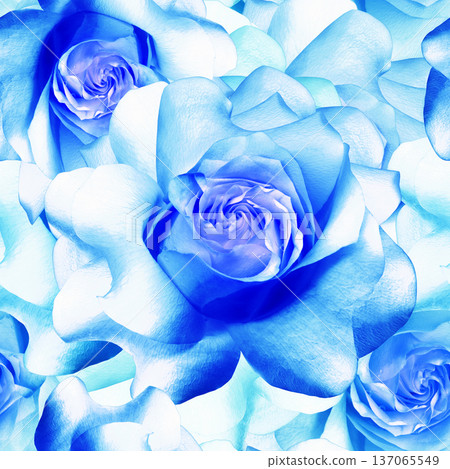 Seamless floral pink background. Flowers peonies and petals peonies. Close up. Seamless floral pink background. Flowers peonies and petals peonies. Close up. 137065549