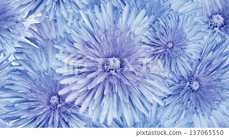 Seamless yellow floral background. Flower dandelion and petals peonies. Close up. Seamless yellow floral background. Flower dandelion and petals peonies. Close up. 137065550