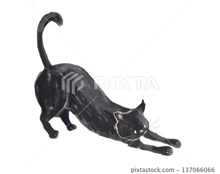 Vector illustration of a black cat stretching its back 137066066