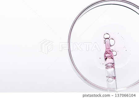 A sample of body cosmetics in a Petri dish. Copy space 137066104