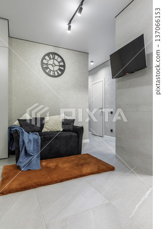 Modern Living Room Interior with TV and Orange Rug Modern Living Room Interior with TV and Orange Rug 137066153