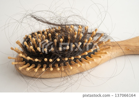 Hair loss fall with comb bush serious problem health, beauty and cosmetic. Hair loss fall with comb bush serious problem health, beauty and cosmetic. 137066164