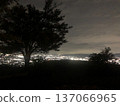 樹木和夜景 137066965